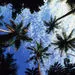 Sigatoka Half-Day Shopping Tour from Nadi