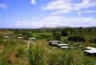 Residence Residence