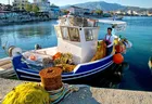 Boat Boat