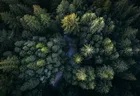 Aerial View - Likuliku Lagoon Resort