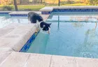 Pool Pool