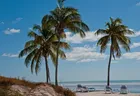 Beach - Viwa Island Resort