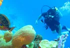 Dive Master Dive Master - Vatulele Island Resort