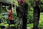 Black Palm Figures - Shangri-La Fiji