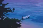 Boats - Taveuni Island Resort