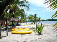 Beach at Club Fiji Resort