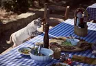 Dining Dining - Taveuni Palms
