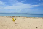 Beachfront Bure Lounge Beachfront Bure Lounge - Matangi Island Resort
