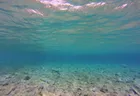Returning from snorkelling Snorkelling - Bounty Island Resort Fiji