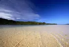 Beach - Koro Sun Resort