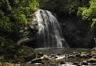 Waterfall - Koro Sun Resort