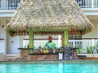 Adults pool bar - Malolo Island Resort