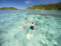 Snorkelling - Malolo Island Resort