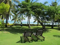 Gardens - Musket Cove Island Resort