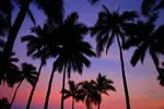 Pink sunset - Sheraton Denarau Villas Fiji