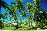 Plantation Island Resort