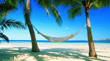 Plantation Island Resort
