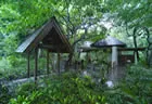 Rainforest Bure - Shangri-La Fiji