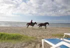 Beach - Smugglers Cove Beach Resort & Hotel