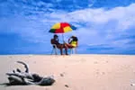 Sunbathing at Treasure Island Resort Fiji