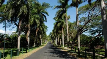 Tanoa International Hotel