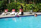Pool - Tanoa Plaza Suva