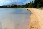 Beach - The Fiji Orchid