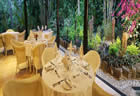 Dining - The Fiji Orchid