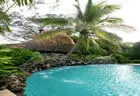 Swimming Pool - The Fiji Orchid