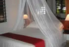 Beachfront Bure Interior - The Resort Walu Beach
