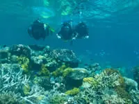 Diving at Toberua Island Resort