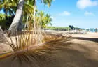 Beach - Wananavu Beach Resort